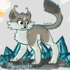 Warrior Cats and Moonkitti Sona (Designs by Moon)